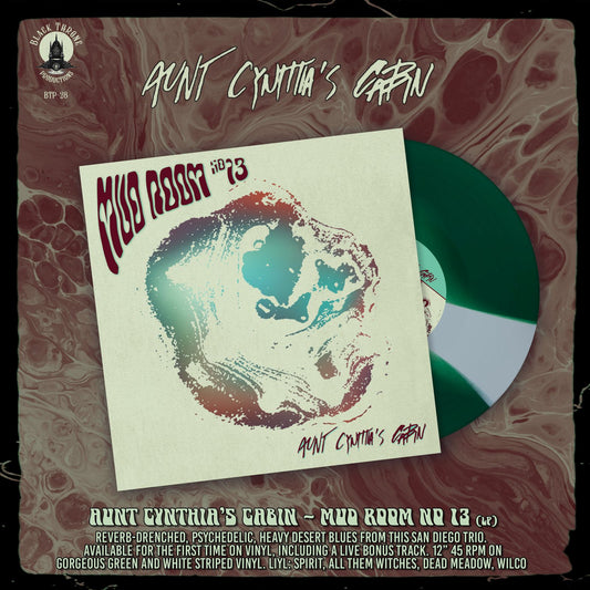 AUNT CYNTHIA'S CABIN - Mud Room #13